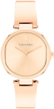 Часы Calvin Klein 25200308